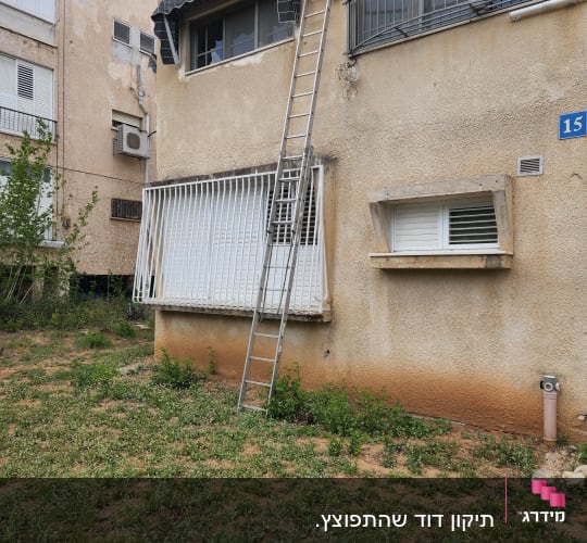 סולם מתכת נשען על קיר בניין עם חלונות.